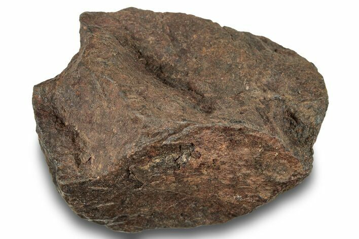 Chondrite Meteorite ( g) - Western Sahara Desert #247497